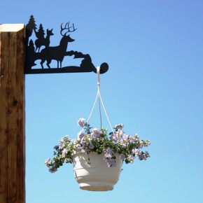 Hanging basket bracket Deers
