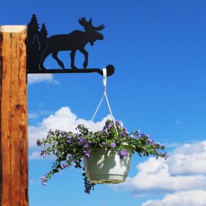 Hanging basket bracket Moose