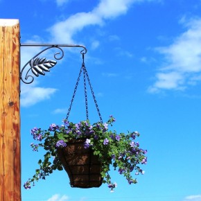 Hanging basket bracket Leaf