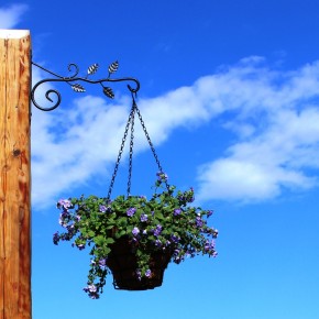Hanging basket bracket Leaves
