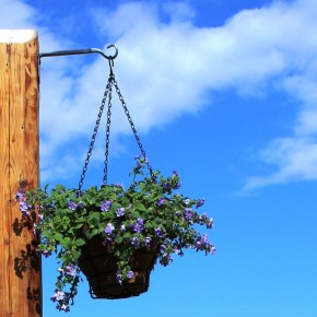Hanging basket bracket UK-6