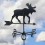Weathervane Moose