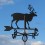 Weathervane Reindeer