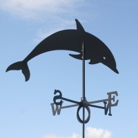 Weathervane Dolphin