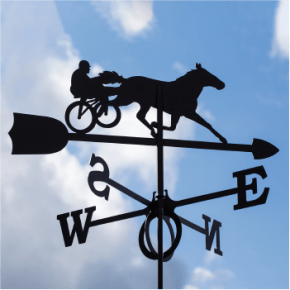 Weathervane Rider